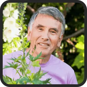 Balmorex Pro reviews